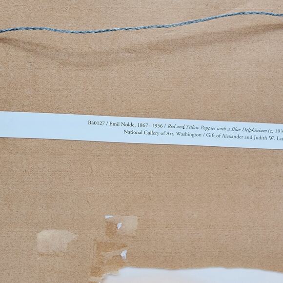 Emil Nolde Watercolor Red Yellow Poppies Blue Delphinium 1930 Japan 16x12" Repro - Picture 10 of 11